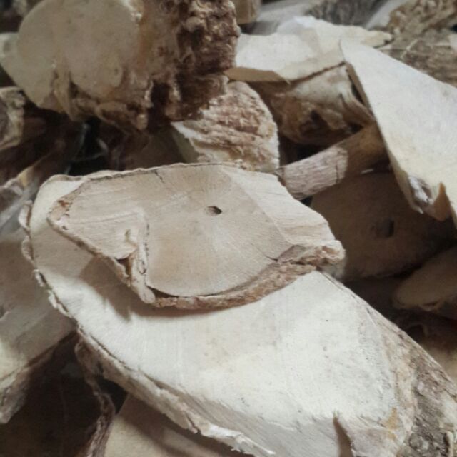 rễ, thâm cây đinh lăng khô