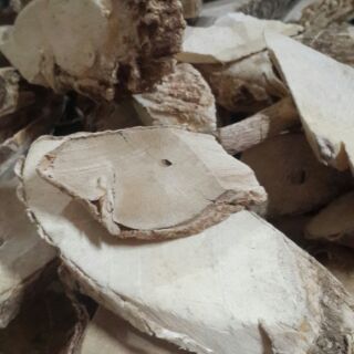 rễ, thâm cây đinh lăng khô