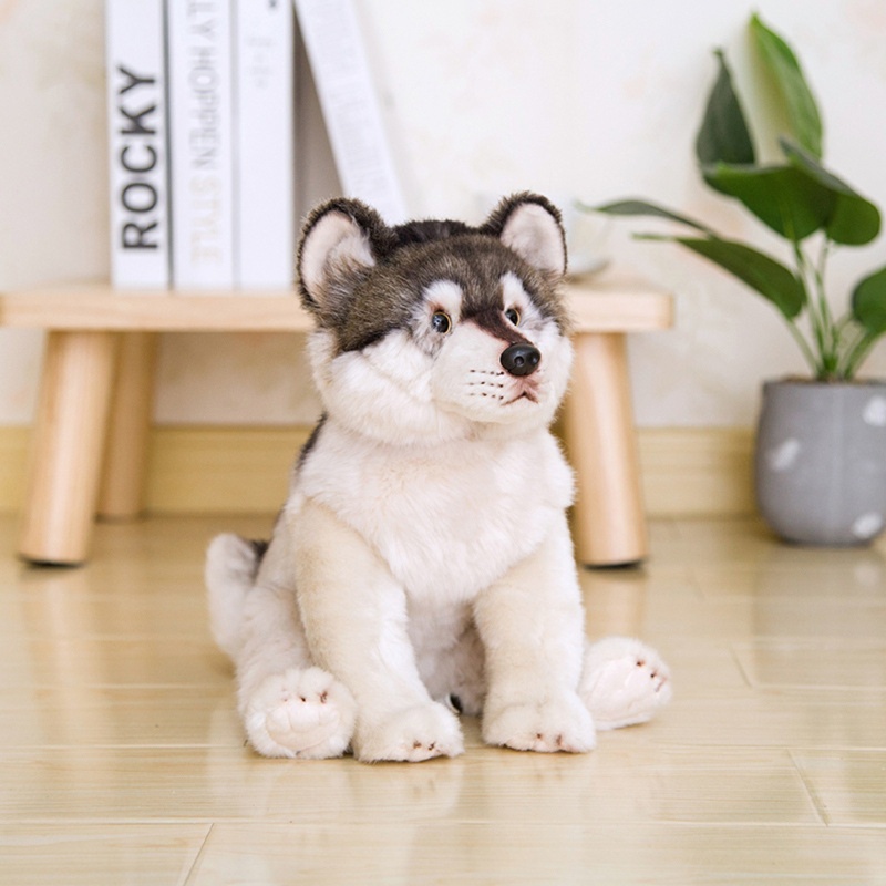 Chó Husky Nhồi Bông Mềm Mại Xinh Xắn