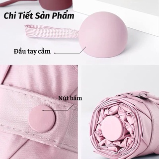 Dù Dễ Thương Ô Dù Che Mưa Gấp Gọn Tiện Lợi 2 Lớp Siêu Bền Du Che Mưa Asaki