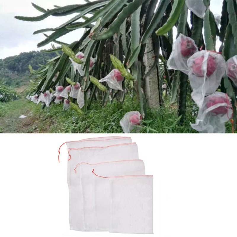 Bộ 50 túi lưới bọc trái cây cho vườn nhà