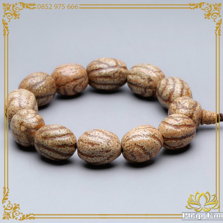 Vòng Tay Bồ Đề Nepal Hạt Lu Thống Cầu Tài Lộc Bình An - Tâm Phong Thủy