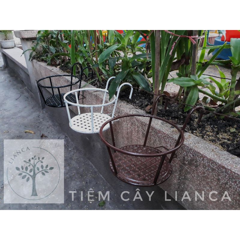 Giỏ sắt treo cây, hoa ban công