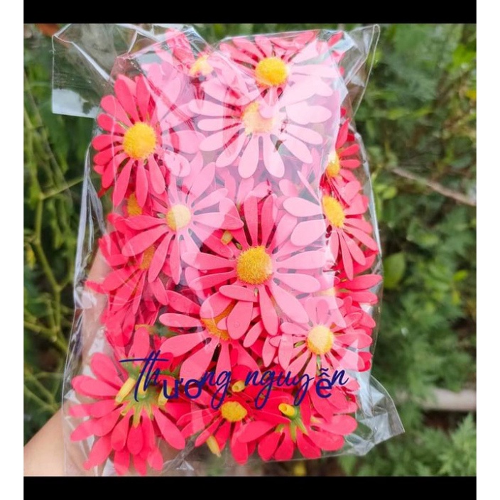 trang trí bánh kem sinh nhật [FREESHIP❤️] sét 100 bông hoa cúc đủ size 3-4-5cm