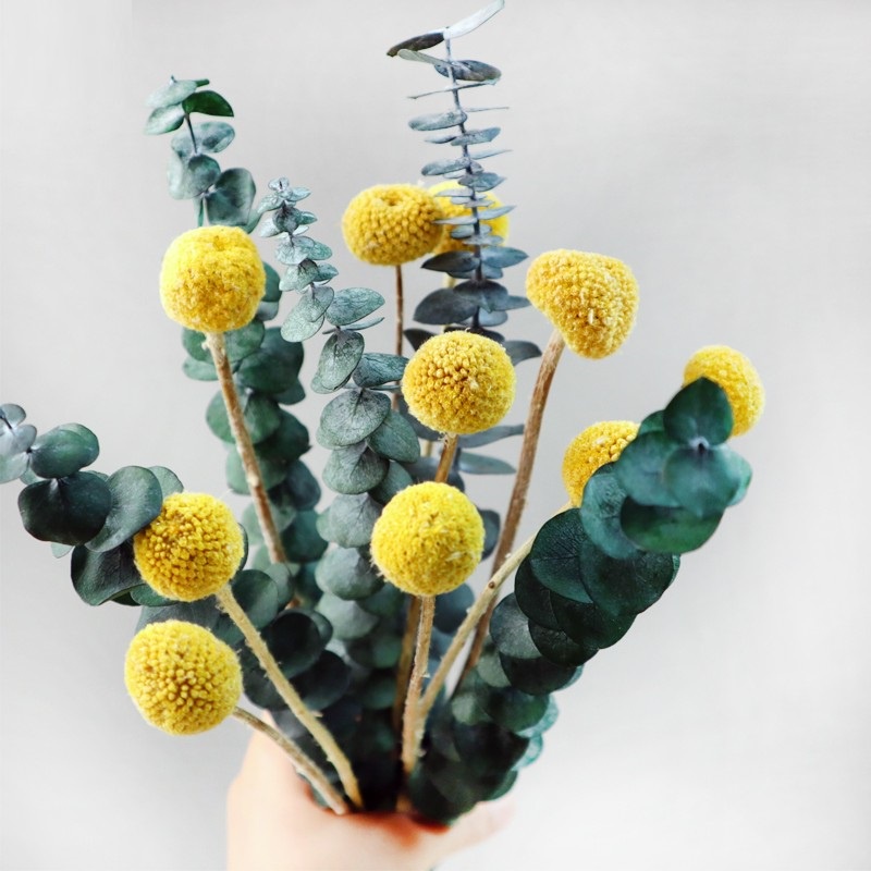 ❤️Hoa Khô - Cành Lá Khuynh Diệp Khô Eucalyptus ❤️ Decor trang trí, phụ kiện chụp ảnh