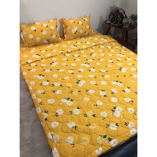 Bộ ga gối chăn hè 5 món poly cotton