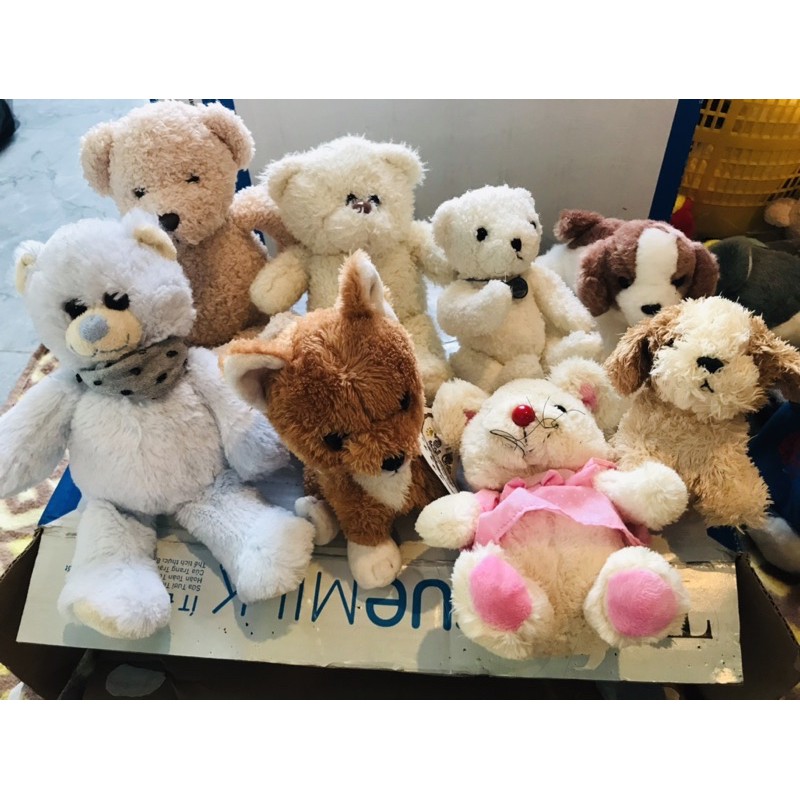 Gấu nhí  100k / set