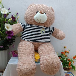 Thú nhồi bông, gấu bông teddy vani sữa khổ m4 cao m2 siêu đáng yêu