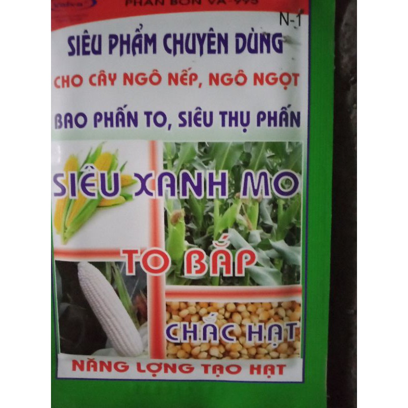 [CHUYÊN NGÔ] SIÊU XANH MO,TO BẮP,MẨY HẠT