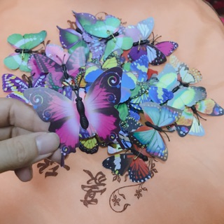 Bươm bướm cài màn trang trí phòng cưới, phòng ngủ