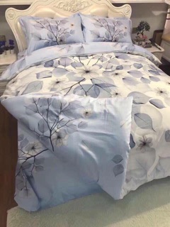 Set chăn ga gối cotton lụa nhật bản