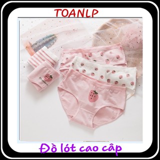 Quần Lót Cotton Co Dãn 4 Chiều Dâu Cute 40-80kg