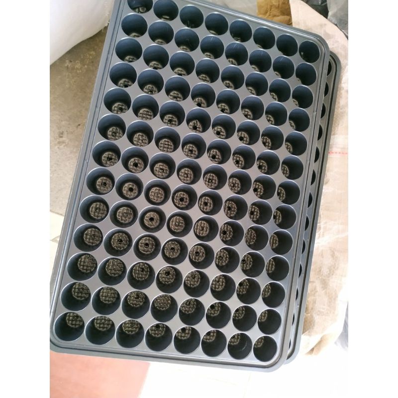 Vĩ ươm hạt giống 104 lỗ