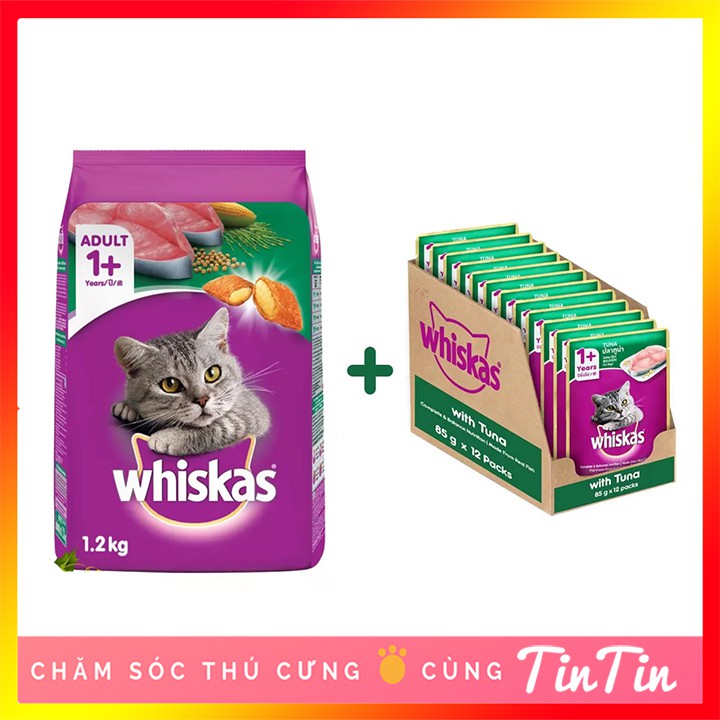 Combo 01 Thức Ăn Hạt Khô Whiskas 1,2 Kg và 12 Gói Pate Whiskas 80 Gram Cho Mèo