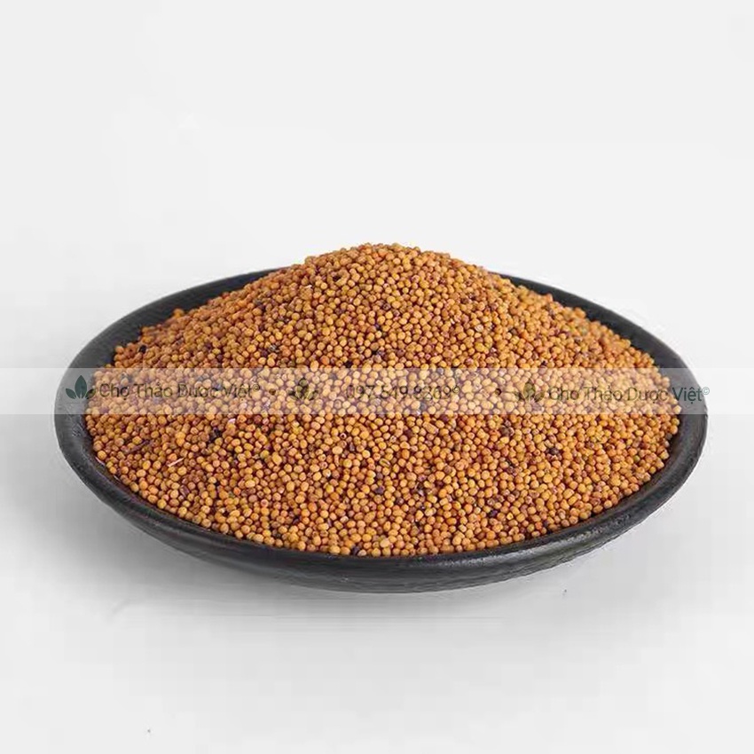 Bạch giới tử hữu cơ 500g ( Hạt cải trắng giảm ho, tiêu đàm) - Chợ Thảo Dược Việt