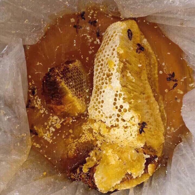 Mật ong rừng nguyên chất | BigBuy360 - bigbuy360.vn