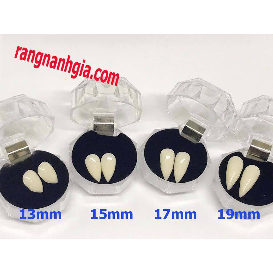 RĂNG NANH- RĂNG KHỂNH GIẢ SỨ KÈM KEO GẮN E[PD]