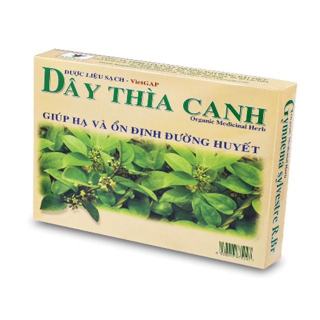 TRÀ DÂY THÌA CANH LÁ NGUYÊN CHẤT GIÚP HẠ VÀ ỔN ĐỊNH ĐƯỜNG HUYẾT ( 200 GRAM LÁ )