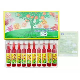 1 vỉ 10 ống thuốc ra rễ cho giâm chiết cành MD_901