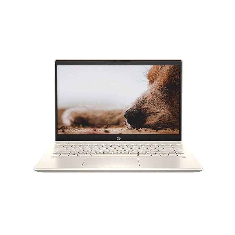 Laptop HP Pavilion 14-dv0507TU (46L76PA)/ Gold/ Intel Core i7-1165G7 (up to 4.70 Ghz, 12 MB)/ RAM 8GB DDR4/ 512GB SSD | BigBuy360 - bigbuy360.vn
