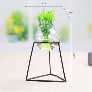 Bình Thủy Tinh Trồng Cây Để Bàn Sắt Mỹ Thuật Trang Trí Văn Phòng Bàn Làm Việc