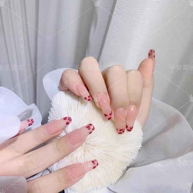 San hô,sao biển chụp ảnh hothit