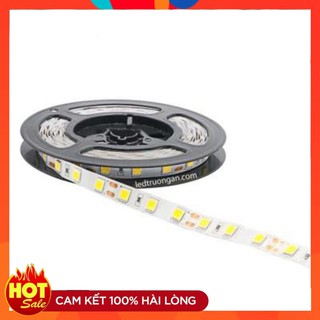 Led dây dán 12v 5054 cuộn 5m - cuộn led dây dán chip led 5054 đơn sắc trắng vàng dán viền tủ, trang trí