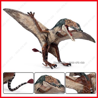 Mô Hình Khủng Long Thằn Lằn Bay Dimorphodon - 7748