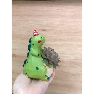 Combo Chậu Mini Kèm Sen đá