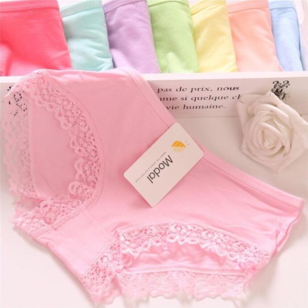 [Giá sỉ] Set 5- 10 Quần Lót Modal Cotton Viền Ren