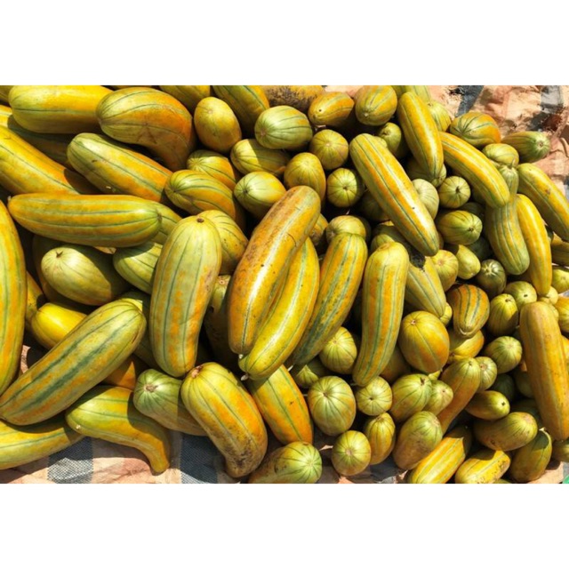 Hạt giống dưa gang - gói 5gr