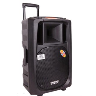 Loa kéo temeisheng dp-2398t bass 50cm kèm 2 mic cực xịn