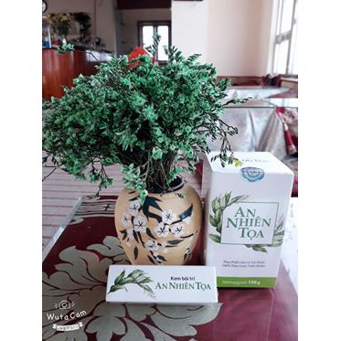 An Nhiên Tọa - Diệt Trĩ Tại Nhà | BigBuy360 - bigbuy360.vn