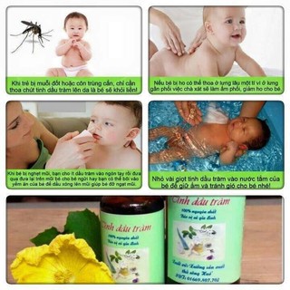 TINH DẦU TRÀM NGUYÊN CHẤT HUẾ