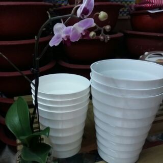 Sét 10 cái chậu trồng cây hoa mới về giá bất chấp