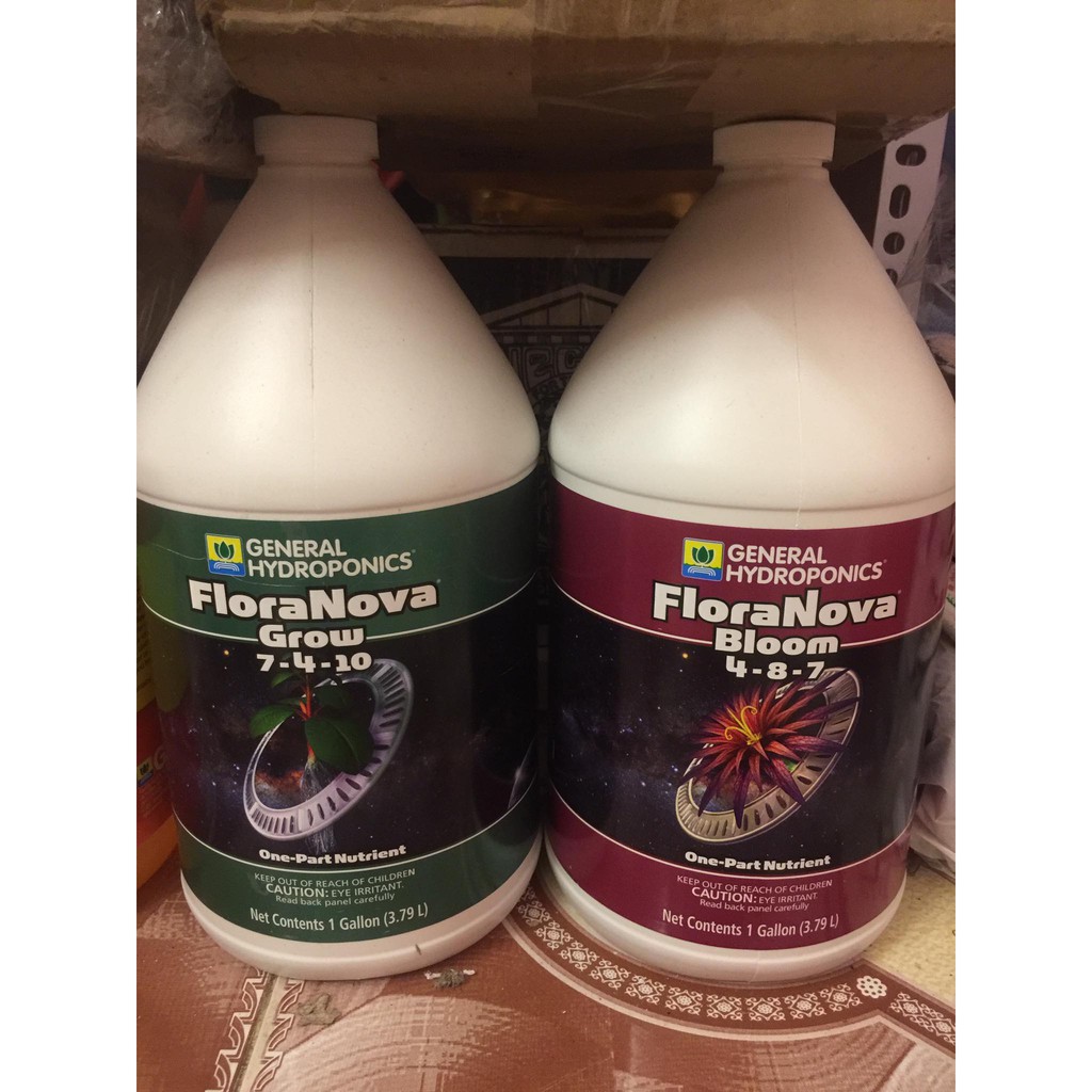 Flora Nova Dinh Dưỡng Nền | BigBuy360 - bigbuy360.vn