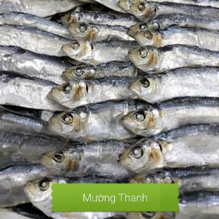 Cá trích khô -  Hải sản Mường Thanh