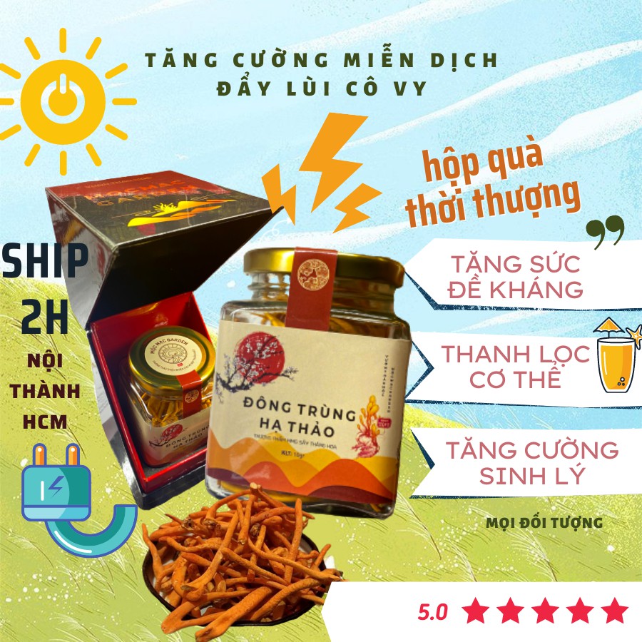 (10gr) Đông Trùng Hạ Thảo Sấy Thăng Hoa Cao cấp