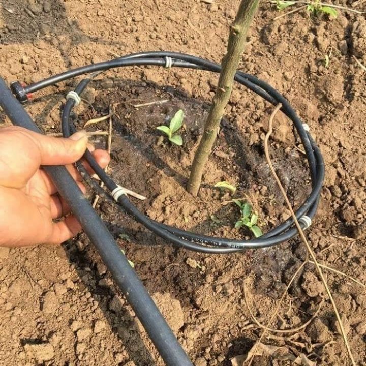 Ống nước phi 11mm dùng cho máy bơm mini, máy rửa xe mini 12v