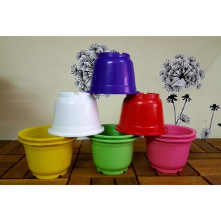 Chậu nhựa nhỏ xinh 13x10cm đẹp, nhiều màu