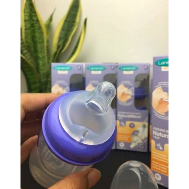 Bình sữa Lansinoh momma 160ml/240ml hàng chuẩn cho bé