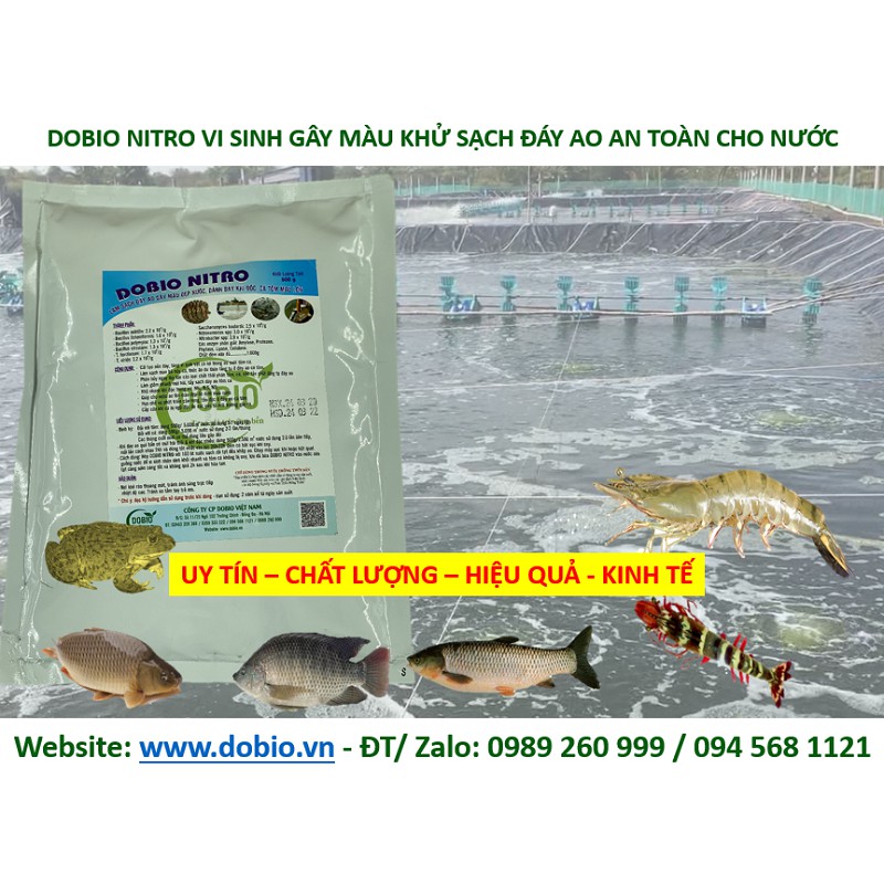 DOBIO NITRO CHẾ PHẨM SINH HỌC MEN VI SINH XỬ LÝ LÀM SẠCH ĐÁY AO NUÔI TÔM CÁ TỐT NHẤT GÓI 500G