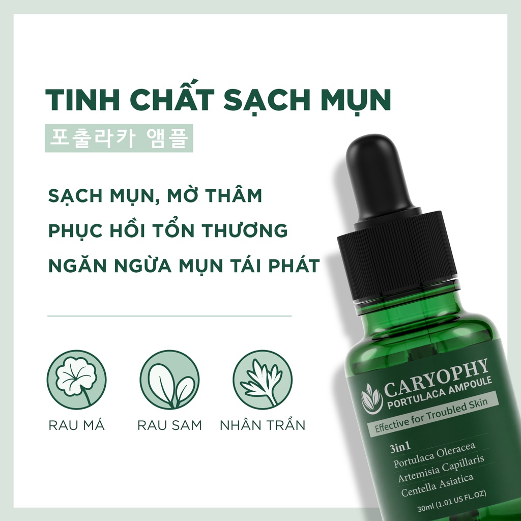 Serum rau má giảm mụn mờ thâm Caryophy Portulaca Ampoule 30ml