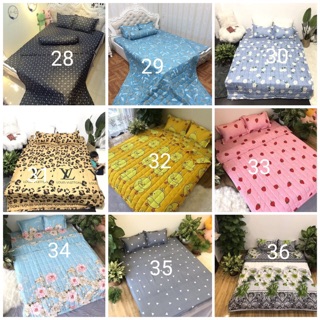 BỘ GA GỐI POLY COTTON MẪU MỚI (ib chọn mâu)