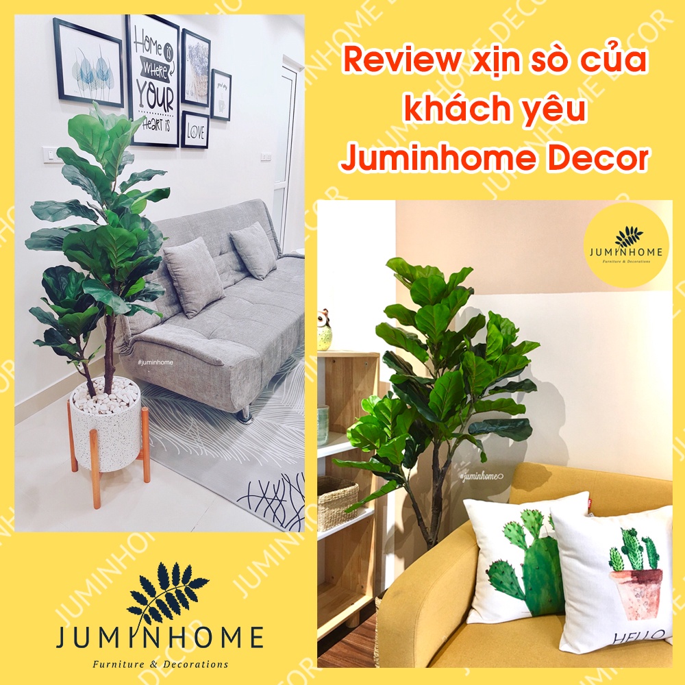 Cây giả, cây bàng singapore giả - Cây giả decor trang trí nhà cửa nội thất phòng khách phòng ngủ