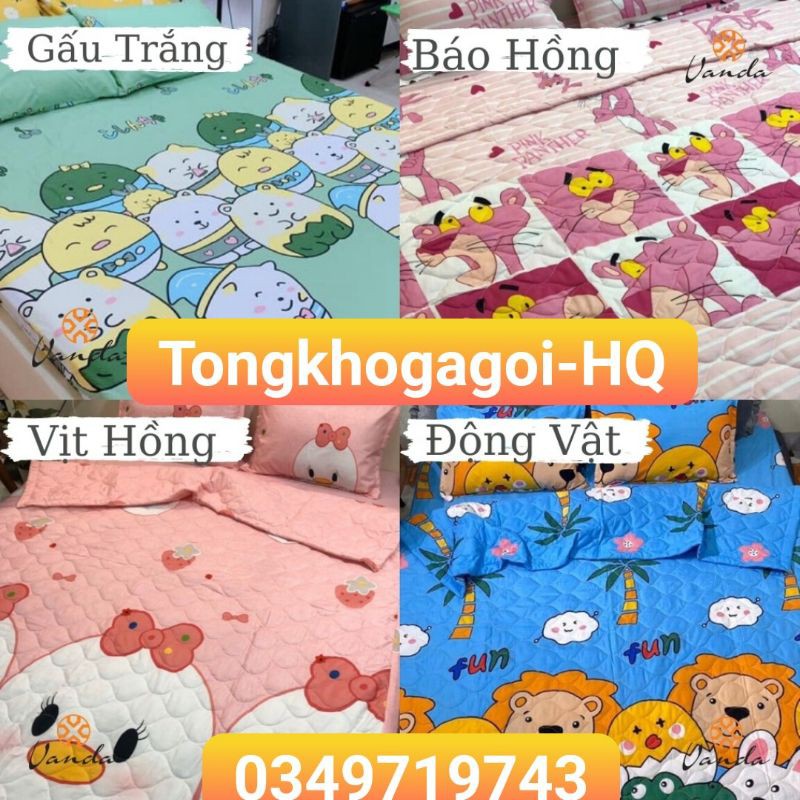 Bộ ga gối cotton poly, được chọn mẫu, gồm 1 ga chun và 2 vỏ gối