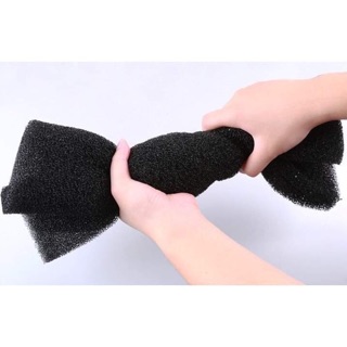 Mút đen dùng lọc nước cho bể cá cảnh