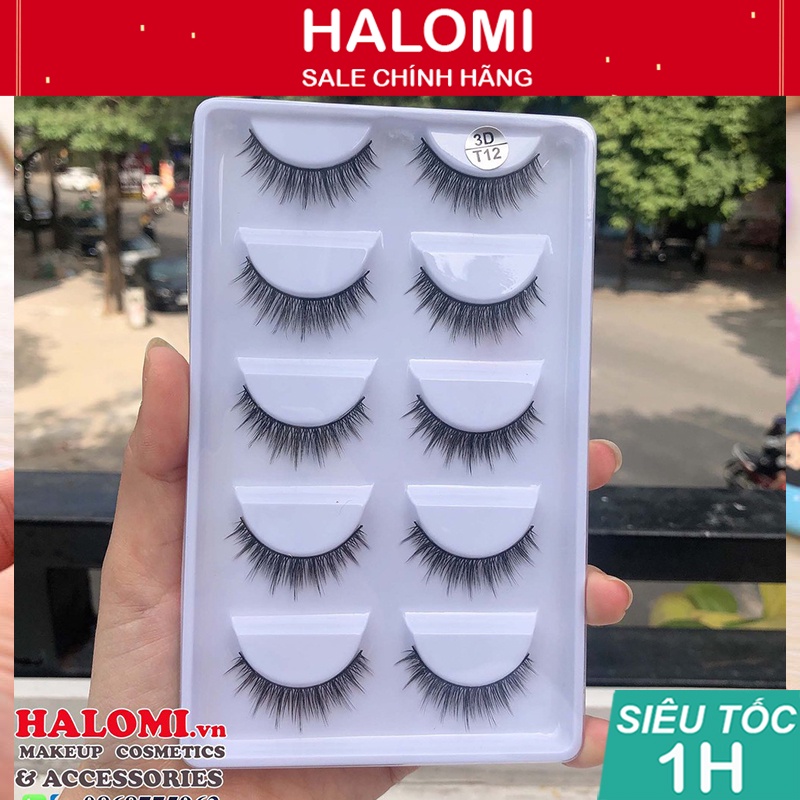 Mi Giả T12 3D 5 Cặp Cao Cấp Chính Hãng Halomi