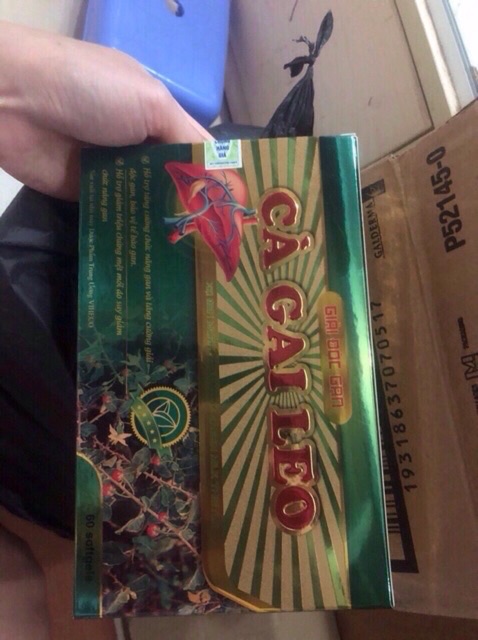 Giải độc gan Cà gai leo xạ đen