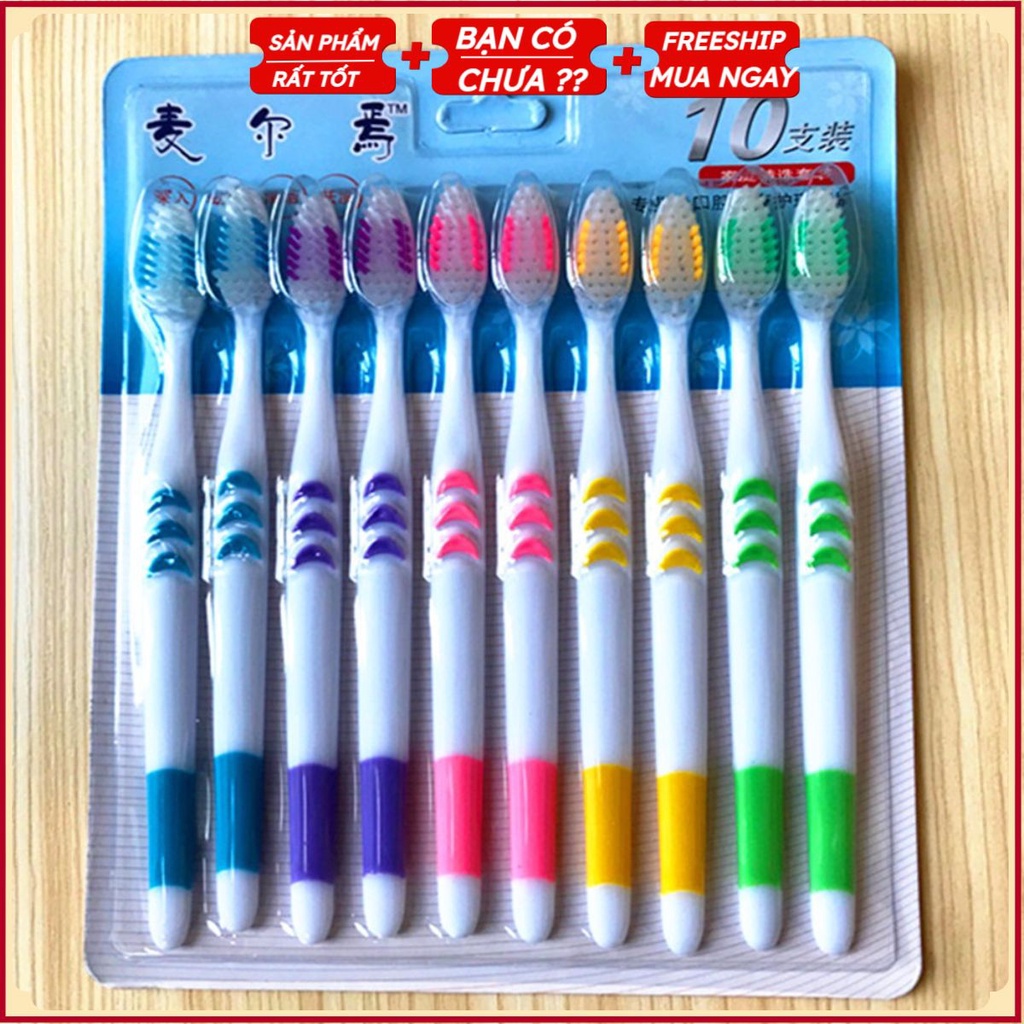 Set 10 Bàn Chải Giá Rẻ Nhà Nghỉ , Khách Sạn (Giao Mẫu Ngẫu Nhiên)